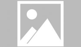 草泥玛视频,网络热梗背后的文化现象解析