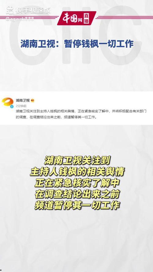 娱乐圈吃瓜运营模式是什么,流量密码背后的秘密解析